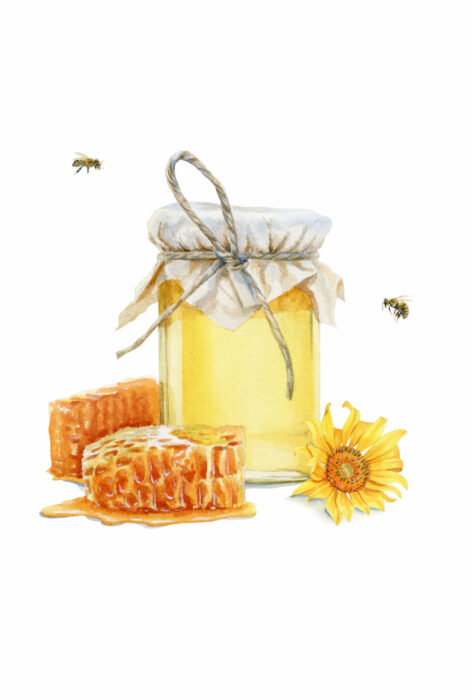 Honey, bee. Watercolor illustration Honey bees on a white background. Watercolor illustration.